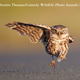 Imagen para el artículo titulado Alégrate el día con los finalistas del concurso de fotografía de naturaleza más divertido